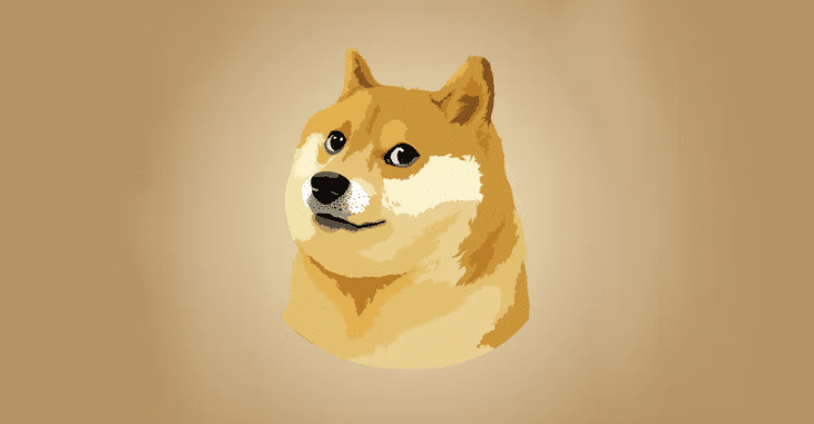 DOGE COIN