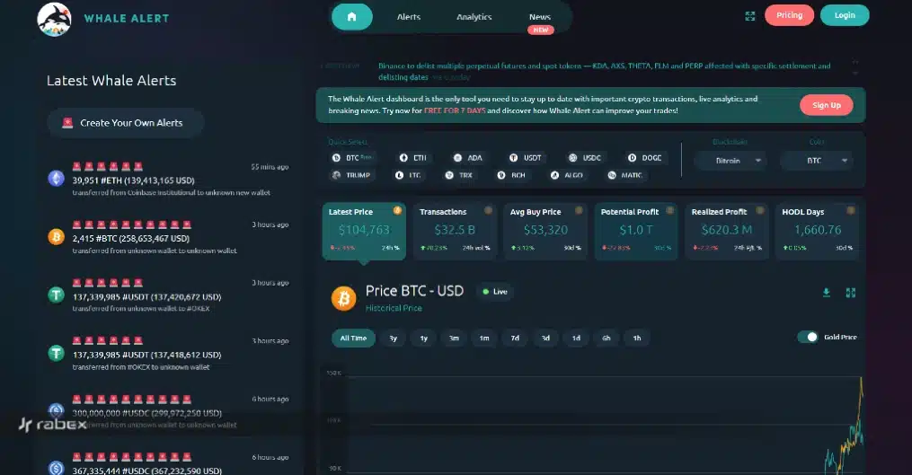 دلایل ریزش بازار کریپتو طبق بررسی تراکنش نهنگها